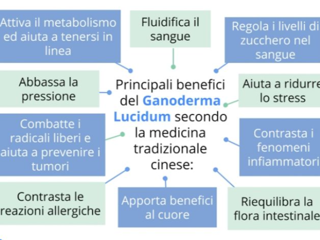 LocalShop24 - Caffè del benessere con Ganoderma lucidum