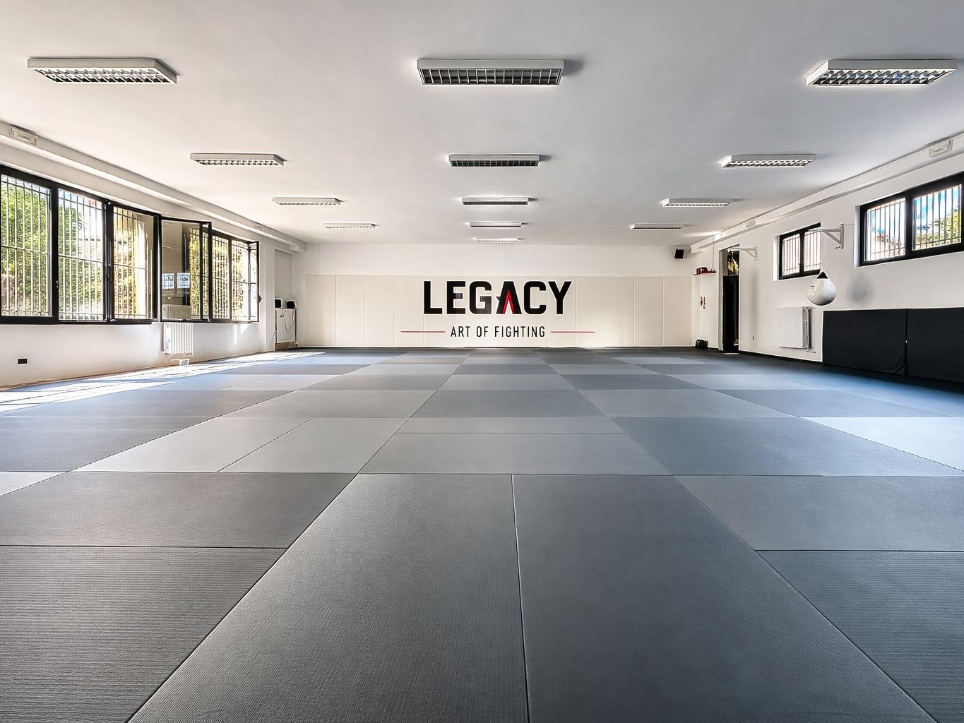 LocalShop24 - LEGACY ART OF FIGHTING