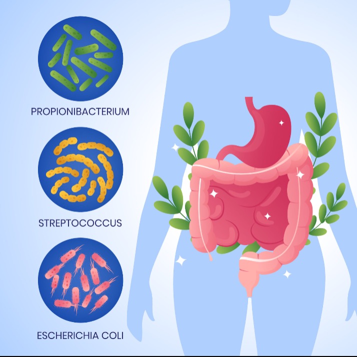 LocalShop24 - Test del Microbiota Intestinale