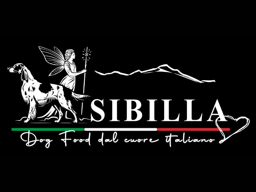 LocalShop24 - Sibilla Dog