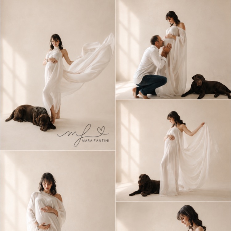LocalShop24 - fotografia gravidanza